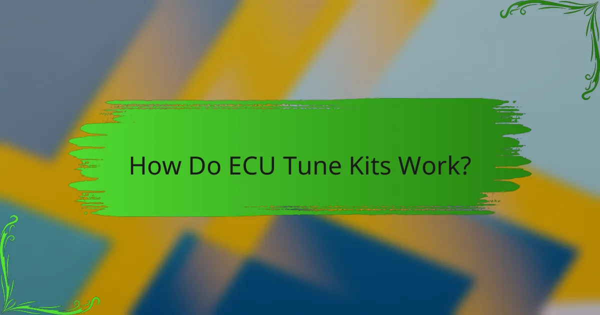 How Do ECU Tune Kits Work?