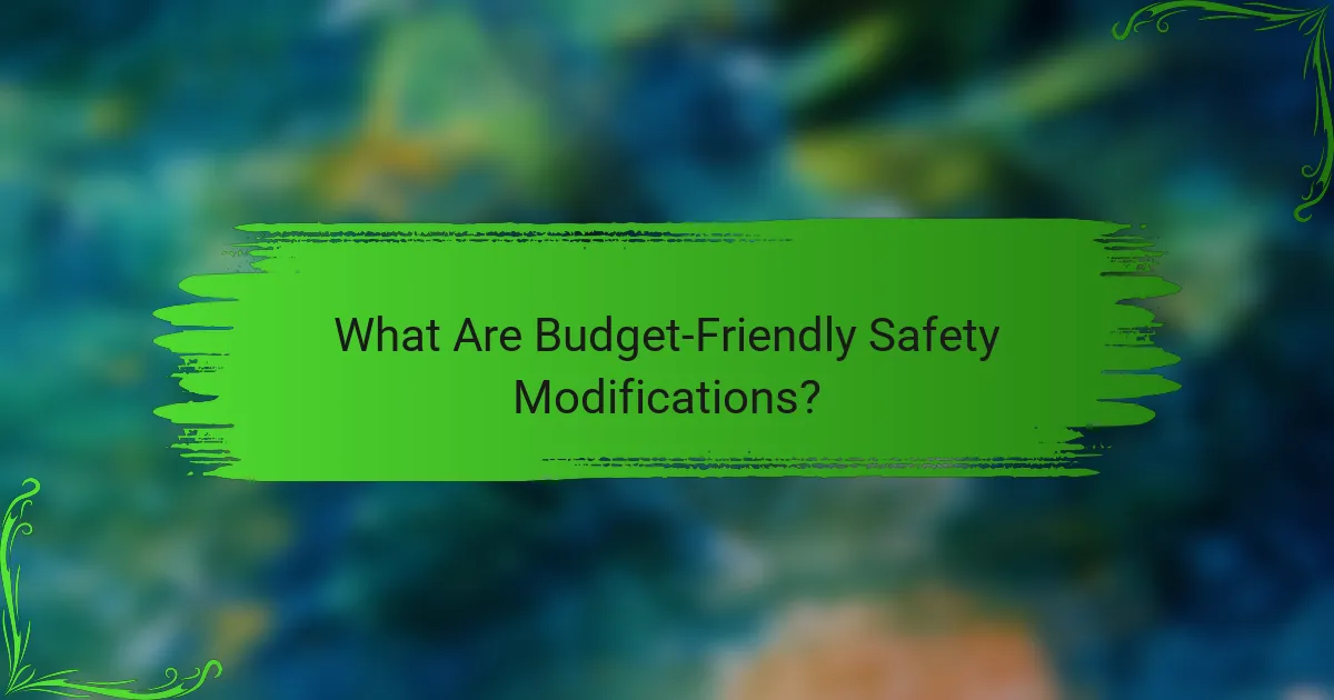 What Are Budget-Friendly Safety Modifications?