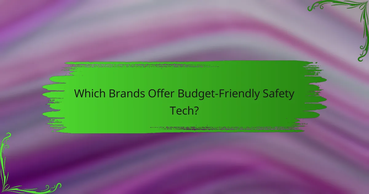 Which Brands Offer Budget-Friendly Safety Tech?